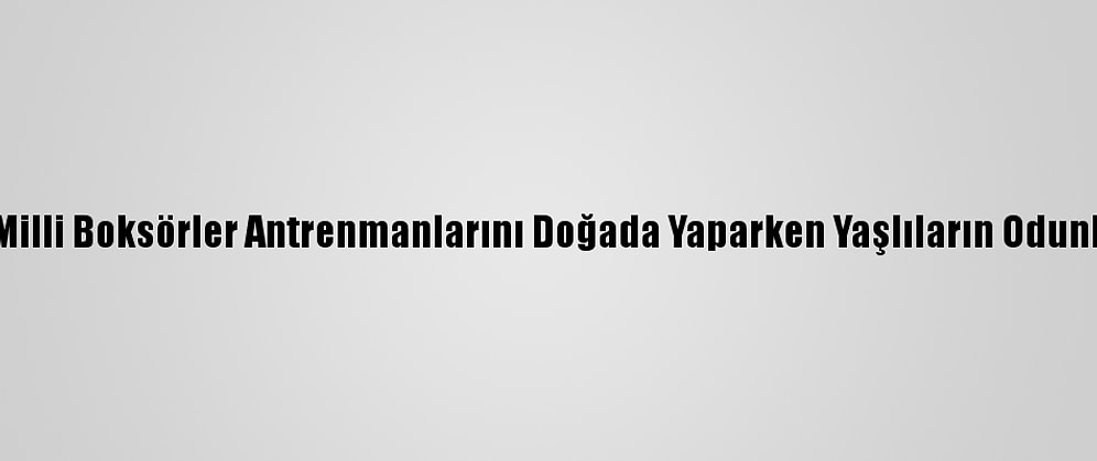 Samsun'da Milli Boksörler Antrenmanlarını Doğada Yaparken Yaşlıların Odunlarını Kırıyor