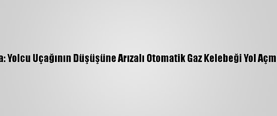 Endonezya: Yolcu Uçağının Düşüşüne Arızalı Otomatik Gaz Kelebeği Yol Açmış Olabilir