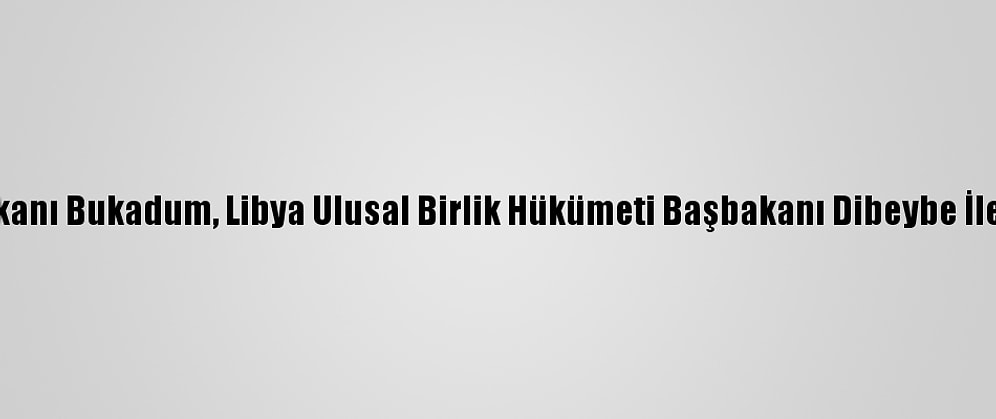 Cezayir Dışişleri Bakanı Bukadum, Libya Ulusal Birlik Hükümeti Başbakanı Dibeybe İle İş Birliğini Görüştü
