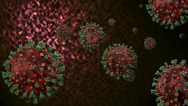 Virüsün genetik yapısıdaki E484K değişikliği Güney Afrika ve Brezilya varyantlarında da gözlemlenmiş, koronavirüs geçirmiş ve aşılanmış kişilerde  bağışıklığı azalttığı ortaya çıkmıştı.