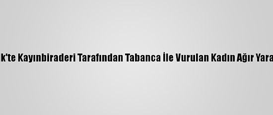 Pendik'te Kayınbiraderi Tarafından Tabanca İle Vurulan Kadın Ağır Yaralandı