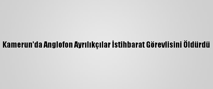 Kamerun'da Anglofon Ayrılıkçılar İstihbarat Görevlisini Öldürdü