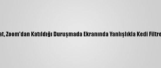 ABD'li Avukat, Zoom'dan Katıldığı Duruşmada Ekranında Yanlışlıkla Kedi Filtresi Kullandı