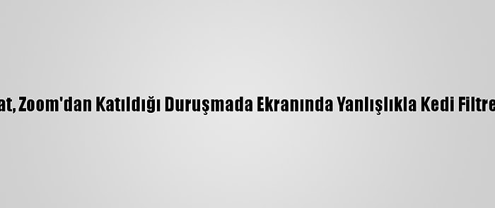 ABD'li Avukat, Zoom'dan Katıldığı Duruşmada Ekranında Yanlışlıkla Kedi Filtresi Kullandı