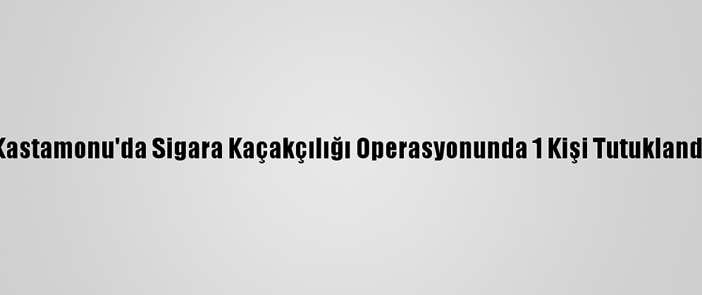 Kastamonu'da Sigara Kaçakçılığı Operasyonunda 1 Kişi Tutuklandı