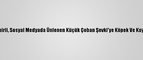 Bakan Pakdemirli, Sosyal Medyada Ünlenen Küçük Çoban Şevki'ye Köpek Ve Koyun Hediye Etti