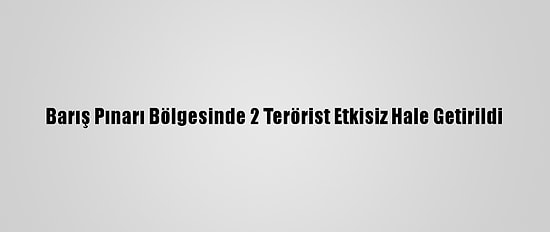 Barış Pınarı Bölgesinde 2 Terörist Etkisiz Hale Getirildi