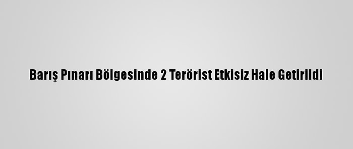 Barış Pınarı Bölgesinde 2 Terörist Etkisiz Hale Getirildi