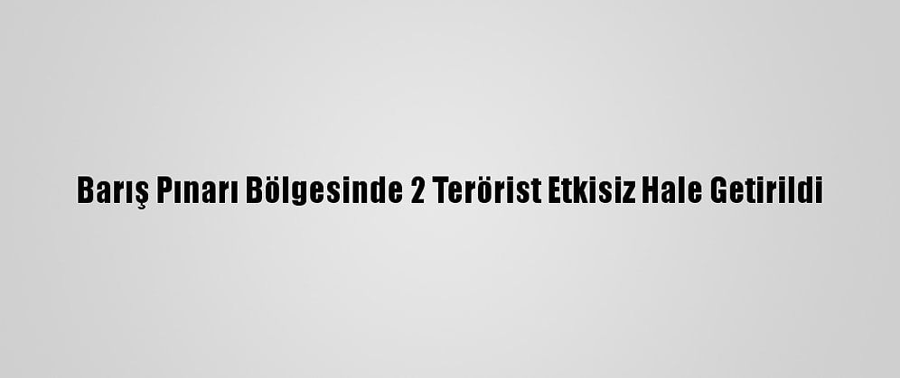 Barış Pınarı Bölgesinde 2 Terörist Etkisiz Hale Getirildi