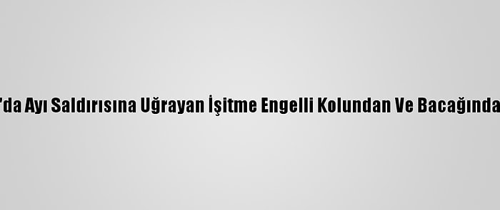 Kastamonu'da Ayı Saldırısına Uğrayan İşitme Engelli Kolundan Ve Bacağından Yaralandı