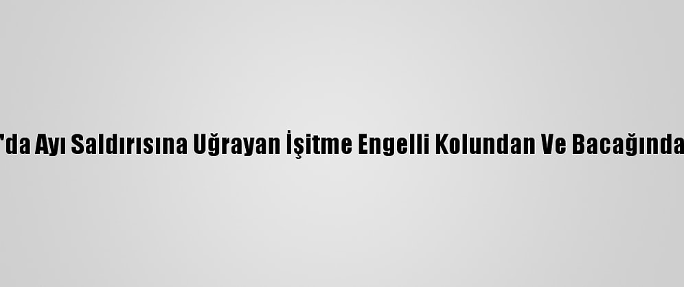 Kastamonu'da Ayı Saldırısına Uğrayan İşitme Engelli Kolundan Ve Bacağından Yaralandı