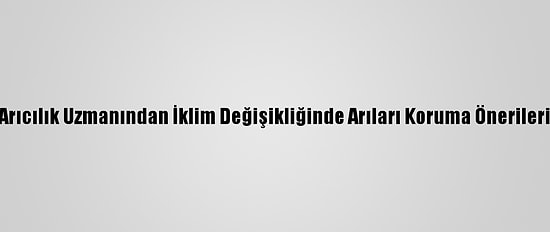 Arıcılık Uzmanından İklim Değişikliğinde Arıları Koruma Önerileri