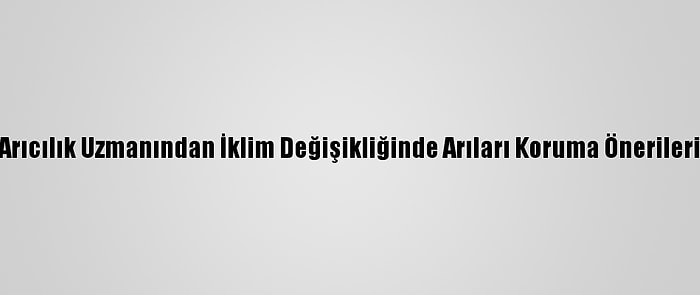 Arıcılık Uzmanından İklim Değişikliğinde Arıları Koruma Önerileri