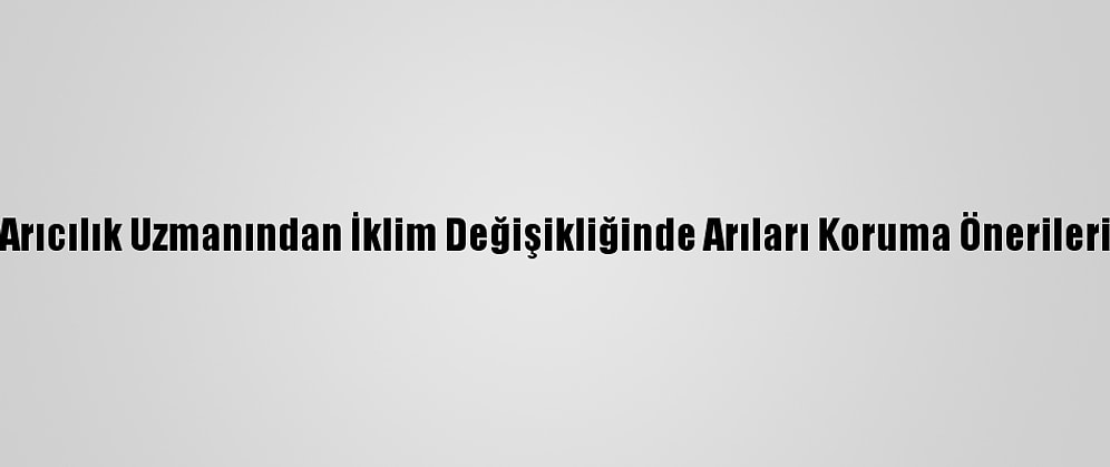Arıcılık Uzmanından İklim Değişikliğinde Arıları Koruma Önerileri
