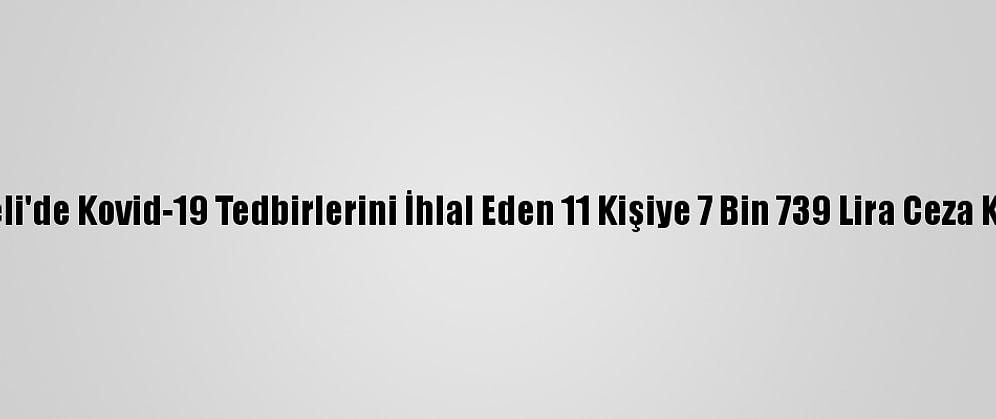 Tunceli'de Kovid-19 Tedbirlerini İhlal Eden 11 Kişiye 7 Bin 739 Lira Ceza Kesildi
