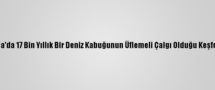 Fransa'da 17 Bin Yıllık Bir Deniz Kabuğunun Üflemeli Çalgı Olduğu Keşfedildi