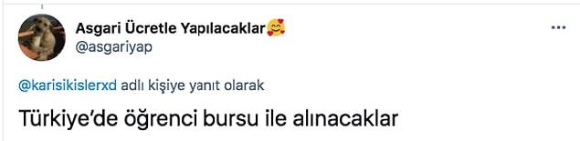 Ne kadar acı değil mi?