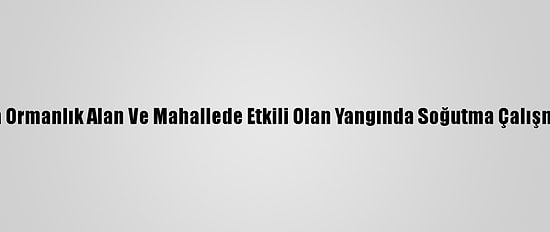 Kastamonu'da Ormanlık Alan Ve Mahallede Etkili Olan Yangında Soğutma Çalışmaları Sürüyor