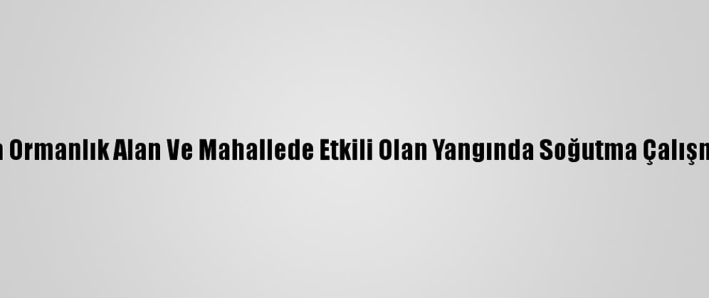 Kastamonu'da Ormanlık Alan Ve Mahallede Etkili Olan Yangında Soğutma Çalışmaları Sürüyor
