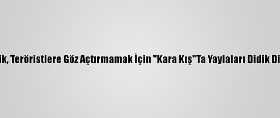 Mehmetçik, Teröristlere Göz Açtırmamak İçin "Kara Kış"Ta Yaylaları Didik Didik Arıyor