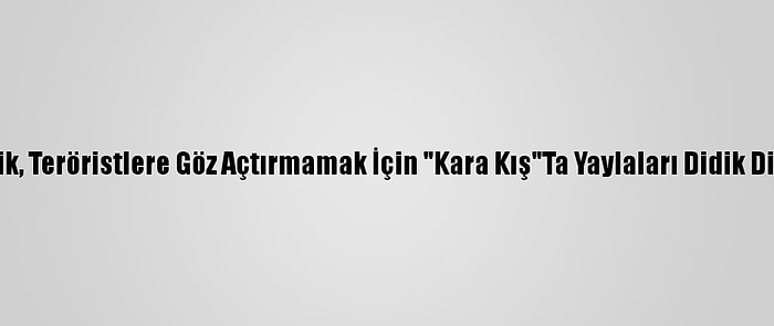 Mehmetçik, Teröristlere Göz Açtırmamak İçin "Kara Kış"Ta Yaylaları Didik Didik Arıyor