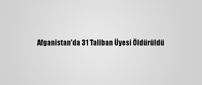 Afganistan'da 31 Taliban Üyesi Öldürüldü