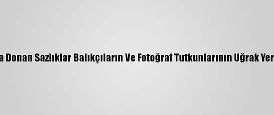 Van'da Donan Sazlıklar Balıkçıların Ve Fotoğraf Tutkunlarının Uğrak Yeri Oldu