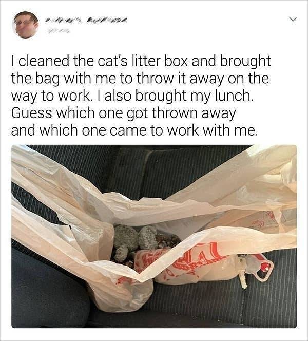 1. "Я убрал кошачий туалет и забрал пакет с собой, чтобы выбросить его по пути на работу. Еще с собой как обычно я взял обед. А теперь угадайте, какой из пакетов я выбросил, а какой привез с собой в офис".