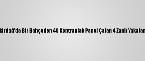 Tekirdağ'da Bir Bahçeden 40 Kontraplak Panel Çalan 4 Zanlı Yakalandı