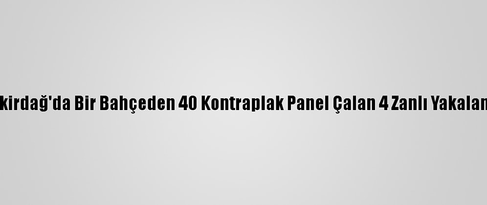 Tekirdağ'da Bir Bahçeden 40 Kontraplak Panel Çalan 4 Zanlı Yakalandı