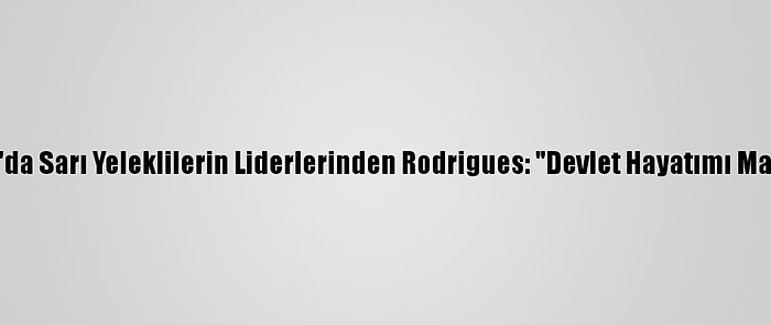 Fransa'da Sarı Yeleklilerin Liderlerinden Rodrigues: "Devlet Hayatımı Mahvetti"