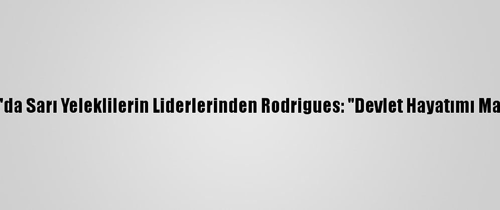 Fransa'da Sarı Yeleklilerin Liderlerinden Rodrigues: "Devlet Hayatımı Mahvetti"