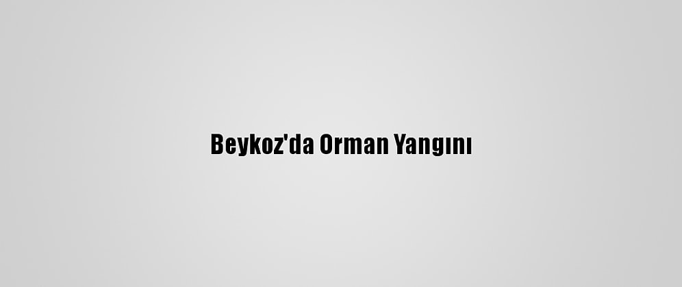 Beykoz'da Orman Yangını