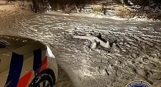 В Нидерландах полиция прибыла на места убийства, но вместо трупа обнаружила снеговика