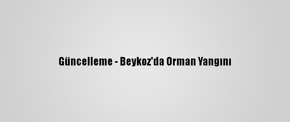 Güncelleme - Beykoz'da Orman Yangını