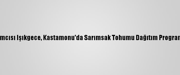 Bakan Yardımcısı Işıkgece, Kastamonu'da Sarımsak Tohumu Dağıtım Programına Katıldı: