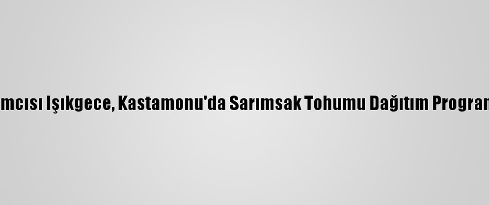 Bakan Yardımcısı Işıkgece, Kastamonu'da Sarımsak Tohumu Dağıtım Programına Katıldı: