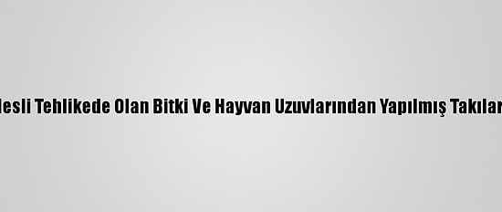 Konya'da Nesli Tehlikede Olan Bitki Ve Hayvan Uzuvlarından Yapılmış Takılar Yakalandı