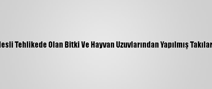 Konya'da Nesli Tehlikede Olan Bitki Ve Hayvan Uzuvlarından Yapılmış Takılar Yakalandı