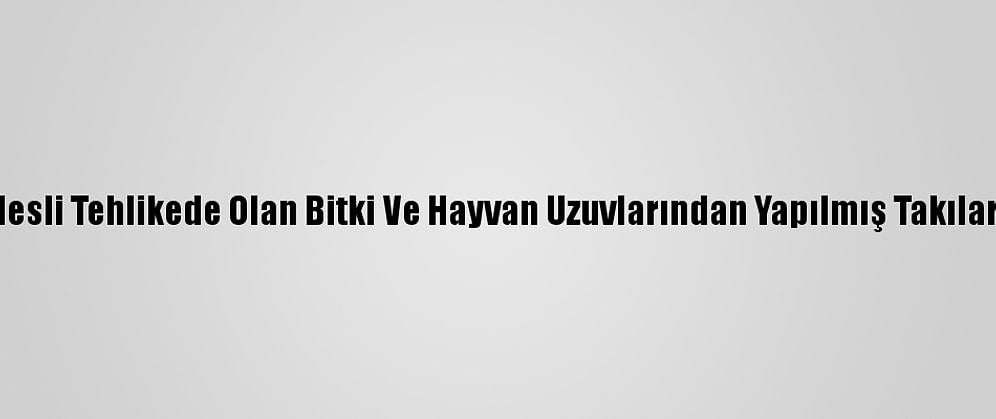 Konya'da Nesli Tehlikede Olan Bitki Ve Hayvan Uzuvlarından Yapılmış Takılar Yakalandı