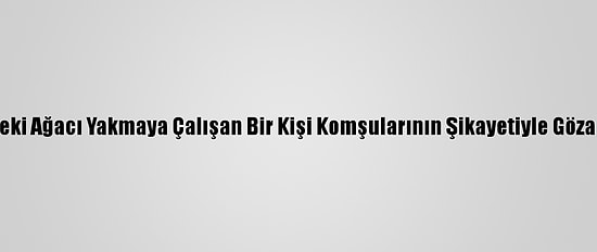 Bahçesindeki Ağacı Yakmaya Çalışan Bir Kişi Komşularının Şikayetiyle Gözaltına Alındı