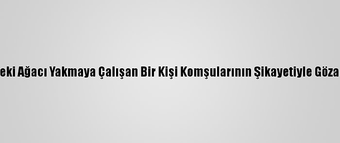 Bahçesindeki Ağacı Yakmaya Çalışan Bir Kişi Komşularının Şikayetiyle Gözaltına Alındı