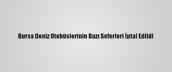 Bursa Deniz Otobüslerinin Bazı Seferleri İptal Edildi