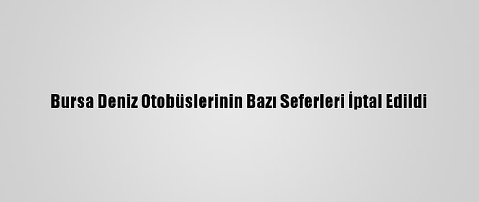 Bursa Deniz Otobüslerinin Bazı Seferleri İptal Edildi