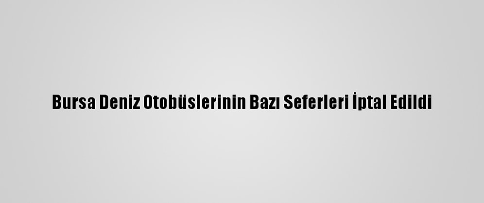 Bursa Deniz Otobüslerinin Bazı Seferleri İptal Edildi