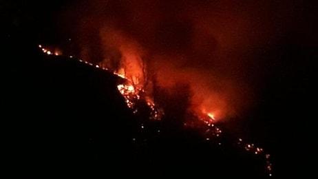 Tokat'ta Orman Yangını 7 Saatte Söndürüldü: 50 Dönüm Alan Kül Oldu