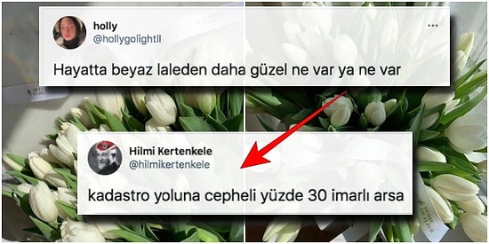 Hayatta Beyaz Lalelerden Daha Güzel Bir Şey Bulamayan Kadına Baltalı İlahlardan Yaratıcı Cevaplar