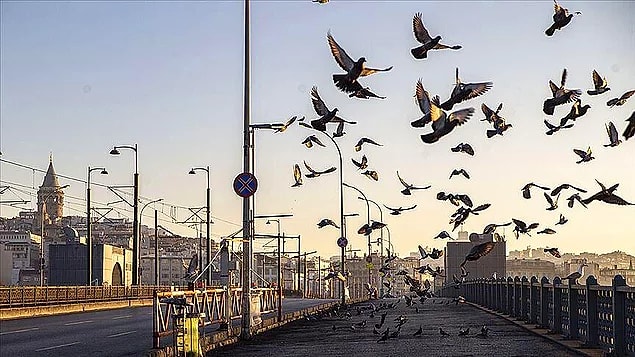 Bugün Sokağa Çıkma Yasağı Var Mı?
