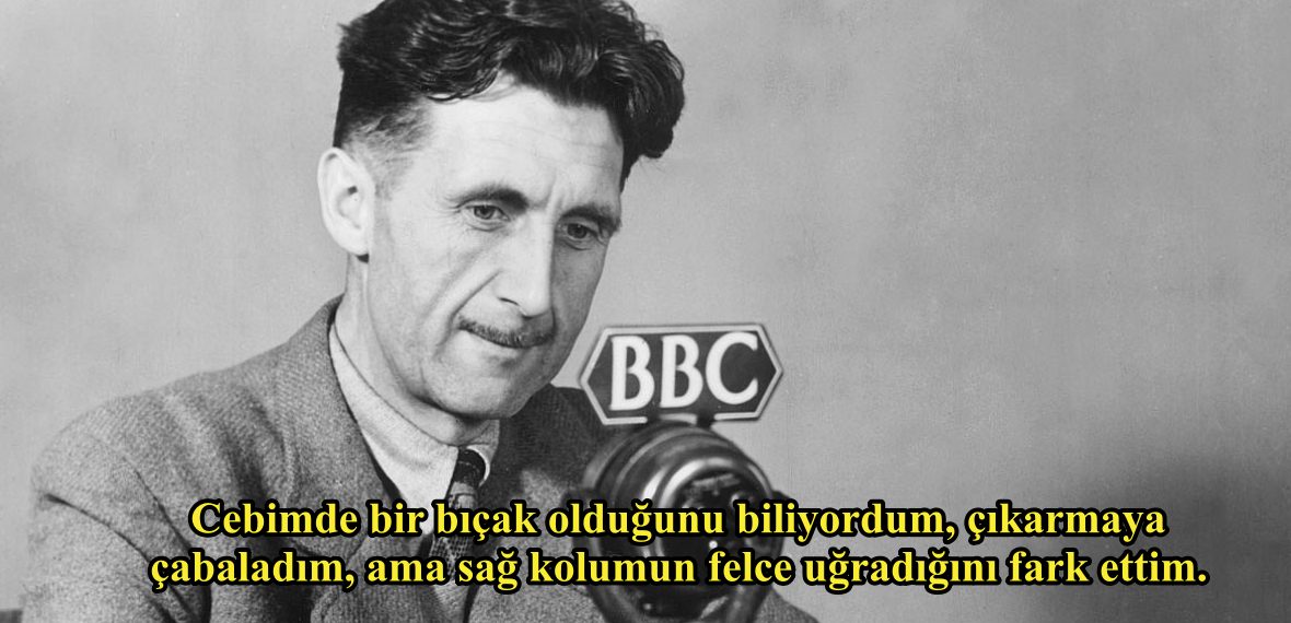 s-d507ddefea1e06446cfc97270ad236447dd342d2.jpg