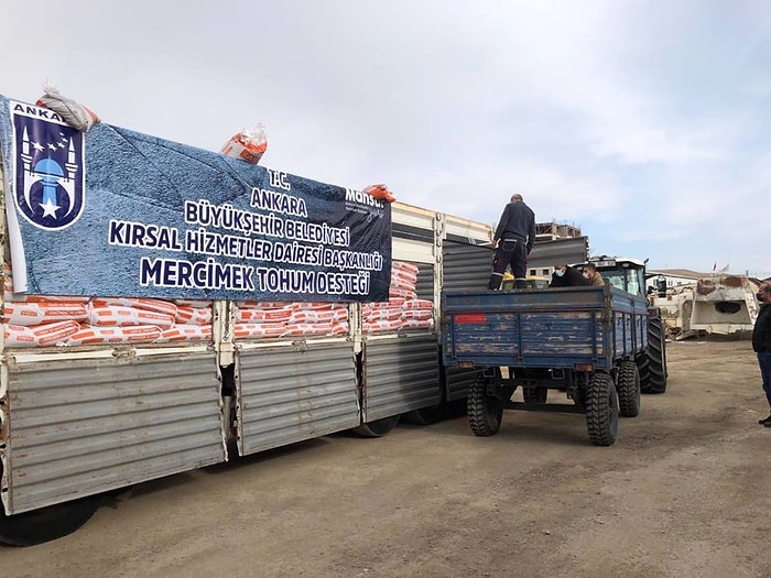 Büyükşehir Belediyesi, Ankara'da İlk Kez Çiftçilere Kırmızı Mercimek Tohumu Desteği Sağladı